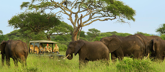 Safari en Tanzanie