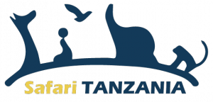 safari tanzania