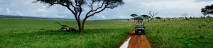 safari tanzania